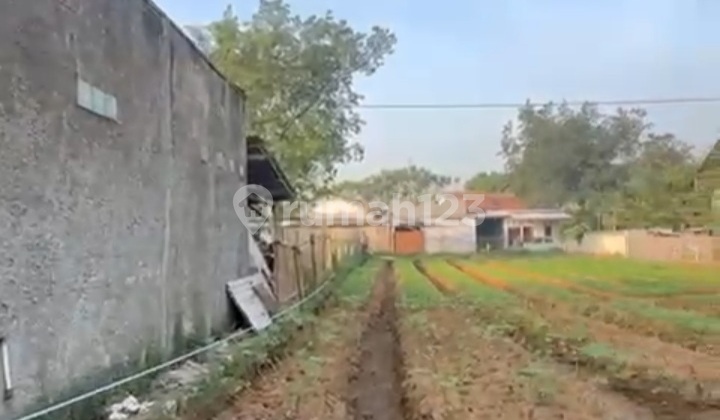 Tanah Kavling Kebun Kp Selang Tengah Wanasari Cibitung Bekasi Investasi Masa Depan Menguntungkan