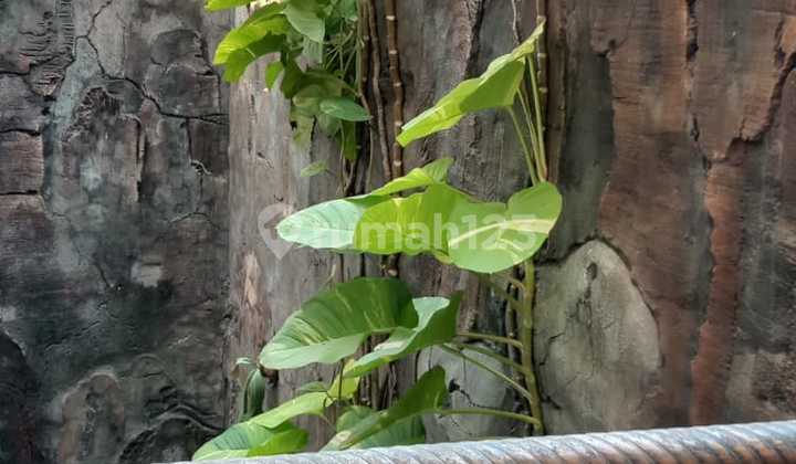 Rumah Murah Super Mewah Bunga Rampai Raya Malaka Jaya Duren Sawit Jakarta Timur Strategis Bebas Banjir 2