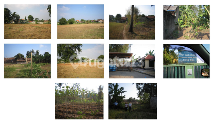 Tanah Kebun Kosong Di Zona Komersial, Serang, Banten