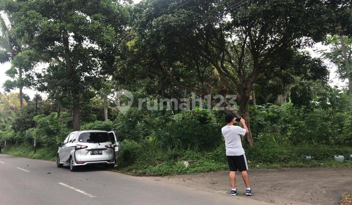 Tanah Strategis Salatiga Akses Jalan Besar Cocok untuk Gudang/Rumah Tanah Strategis Salatiga Akses Jalan Besar Cocok untuk Gudang/Rumah