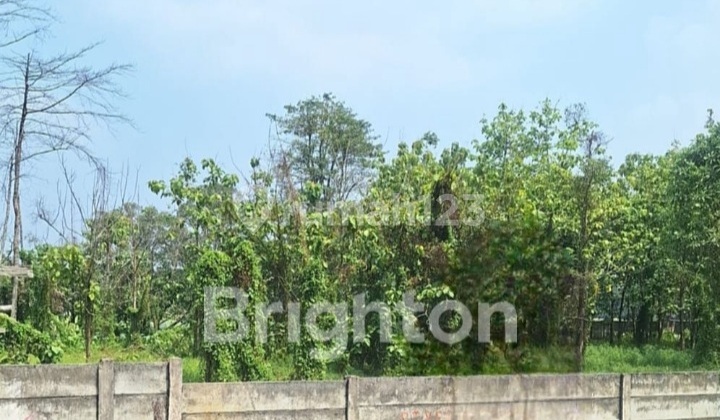 Lahan Premium Residencial Apartement Siap Bangun Cicayur Cisauk Tangerang Banten Strategis 