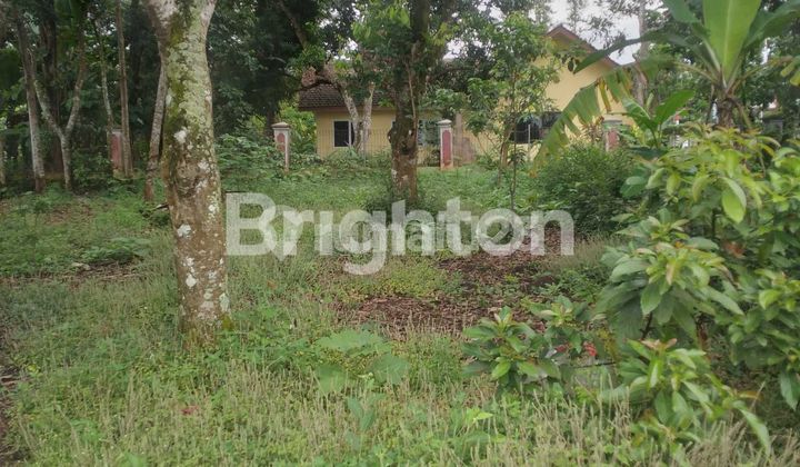 TANAH PADAT PINGGIR JALAN RAYA MANGUNSARI PERTIGAAN MUNTAL GUNUNGPATI SEMARANG JAWA TENGAH STRATEGIS 1