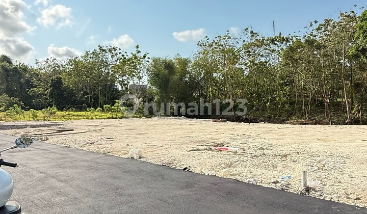 For Sale – Tanah Kavling Cantik Di Kutuh – Badung, Bali For Sale – Tanah Kavling Cantik Di Kutuh – Badung, Bali