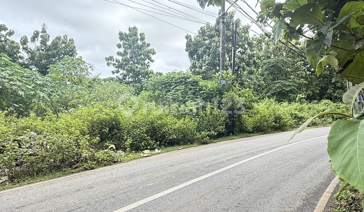 Land for Sale at Strategic Location on Main Road to Balangan Beach