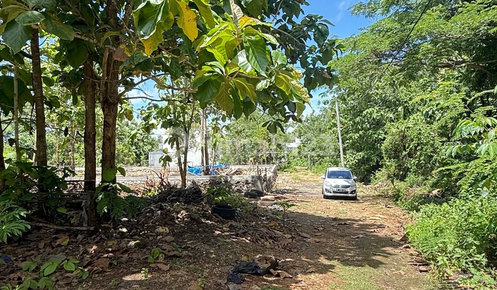 Dijual Tanah Premium - Puri Gading Jimbaran, Bali