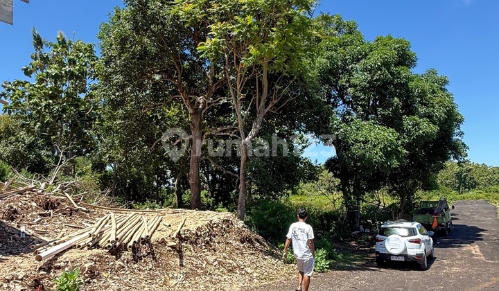 Dijual Tanah Luas Strategis - 1 Menit Dari Kampus Unud Jimbaran