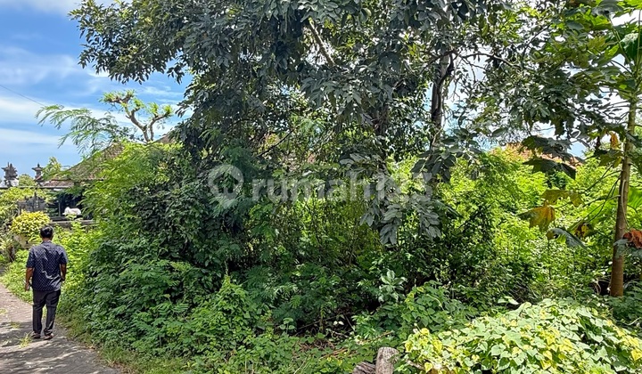:fire: Cheap Land Near Pandawa Beach - Kutuh, Bali