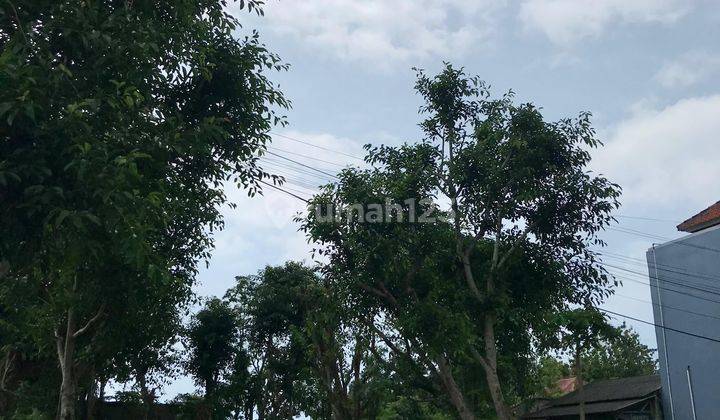 5 Are Tanah Dijual Di Jl Kutilang Perum Puri Gading Jimbaran Bali 2