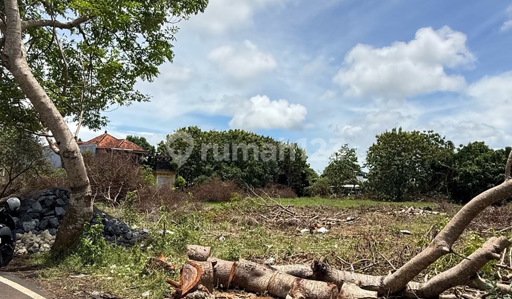 Tanah Kavling Luas 1 Are - Dekat Kampus Unud Jimbaran