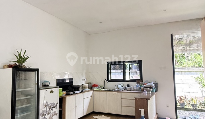 Cheap Land for Sale Bonus House - Hook - Kutuh Bali