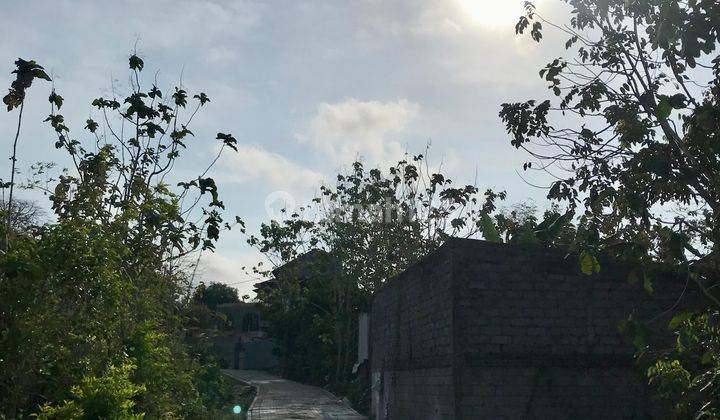 Dijual 9,5 Are Tanah di Jl Pura Lempuyang Ungasan Badung Bali  1