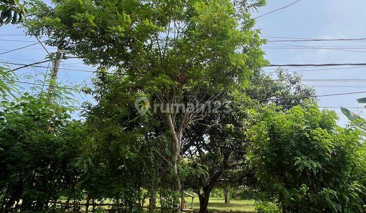 45,87 Are Tanah di Jl Gn Payung Kutuh Badung Bali, 8 Menit Dari Pantai Pandawa  1