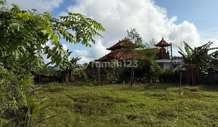 Disewakan Tanah Plot Kecil Di Ungasan Bali 2