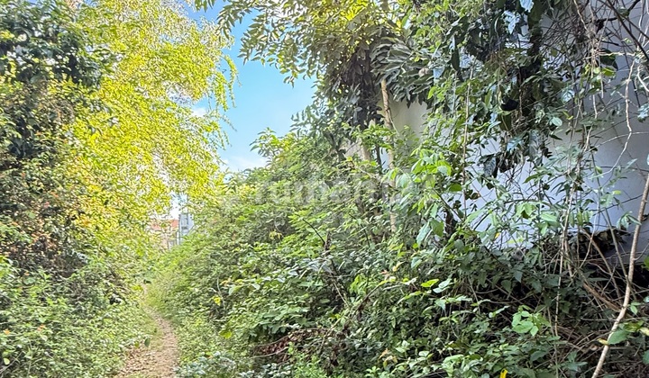Land for Sale Cheap on Jl Melangkaja, Kutuh – Badung, Bali