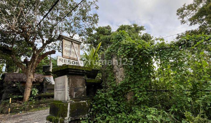 20 Are Tanah Dijual Atau Disewakan Jl Raya Uluwatu Pecatu Bali 1