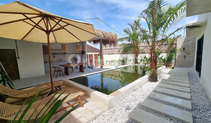 Brand New Villa For Leasehold In Nusa Dua - Bali Brand New Villa For Leasehold In Nusa Dua - Bali