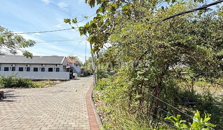 Dijual Tanah Murah Cocok Untuk Investasi Di Kutuh Bali