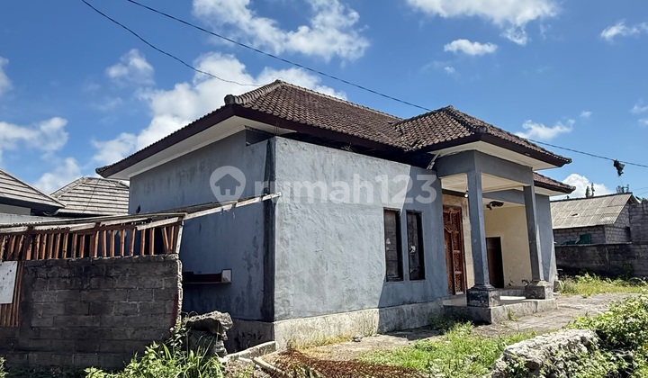 House For Sale – Super Strategic Location Near Udayana University Jimbaran Bali