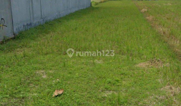 Dijual Tanah Murah Strategis Dekat Bandara Adi Sucipto SHM 