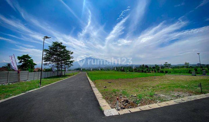 Jual Tanah Murah SHM Pinggir Jalan 100 m² 2