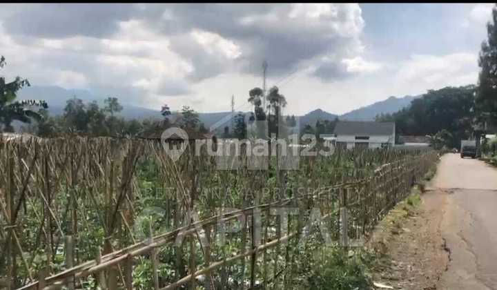 Tanah Kebun Datar dengan Posisi Strategis dan View Kota Lembang