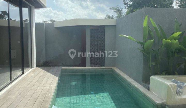 3 Bedrooms Villa 200 Sqm Freehold In Tumbak Bayuh Canggu 2