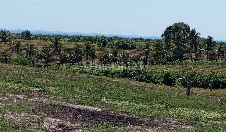 Land 7000 Sqm Freehold In Selemadeg Tabanan 1