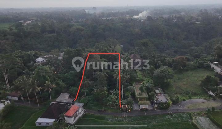 Exceptional Leasehold Land in Ubud - 19 Are Prime Land with Peaceful "Jungle View" near Ubud Center Exceptional Leasehold Land in Ubud - 19 Are Prime Land with Peaceful "Jungle View" near Ubud Center