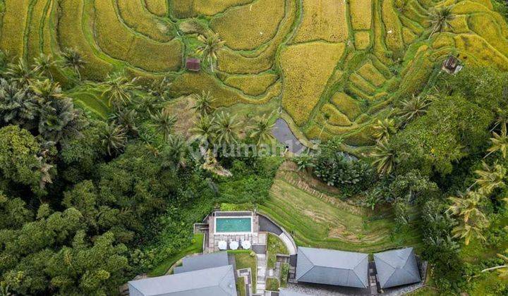 Freehold Rice Field Vista Retreat Serene Luxury Living In Ubud S Panoramic Paradise 1