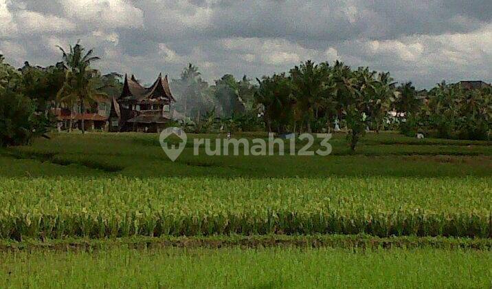 Freehold - Rare Land for Sale in Ubud - 2 Minutes from Odette Ubud, Bali!