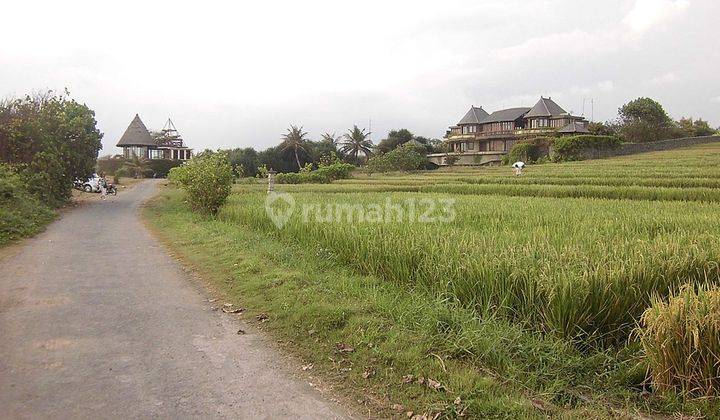 Land 5180 Sqm Beach Front In Tabanan 1