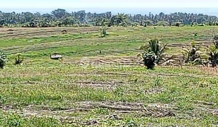 Land 7000 Sqm Freehold In Selemadeg Tabanan 2