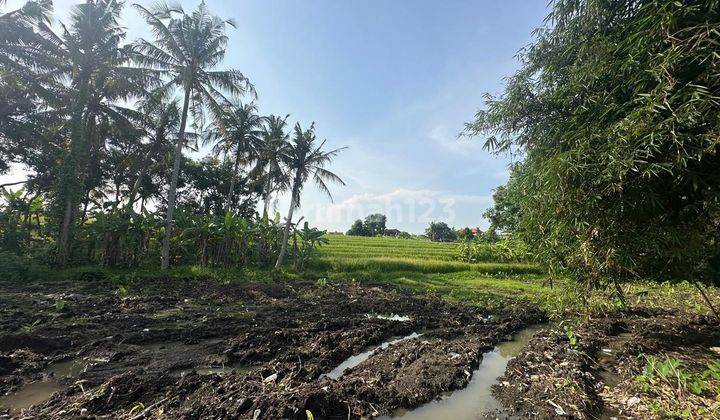 Land In Nakula Area,badung Area 1