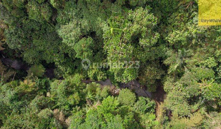 12,619 Sq M Of Freehold Land With Stunning River And Valley Views Located 7 Minutes From Ubud Palace 2