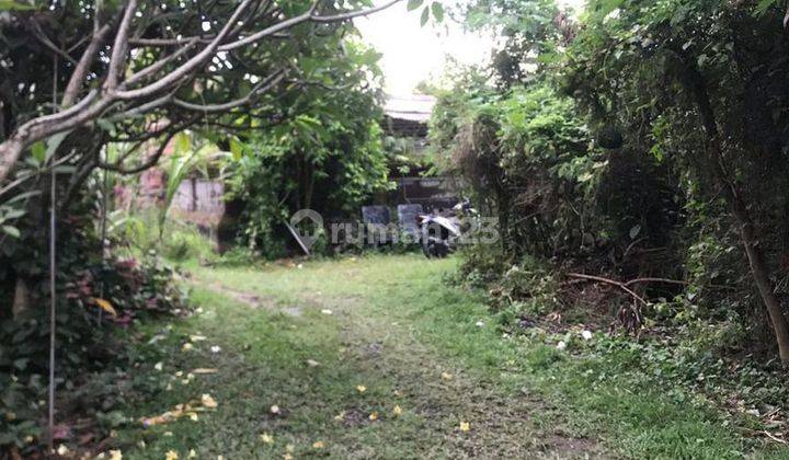 Rare 2,450 Sqm Freehold Land For Sale With Views Of Rice Field On Sayan Main Road, Ubud 2