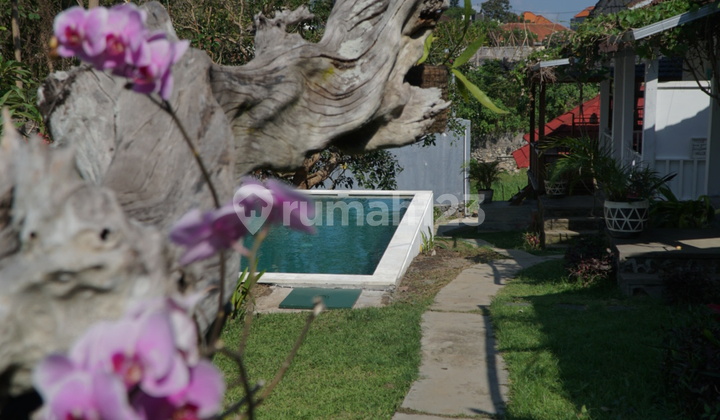 Leasehold - Tropical Oasis - 9 Bungalows with Pool & Garden, Canggu, Bali