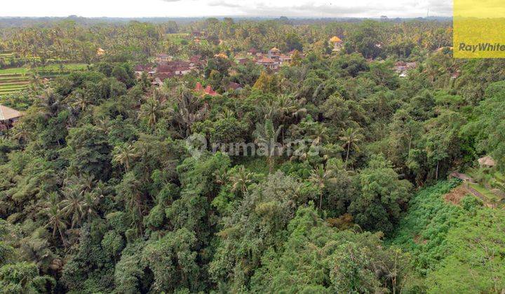 12,619 Sq M Of Freehold Land With Stunning River And Valley Views Located 7 Minutes From Ubud Palace 2