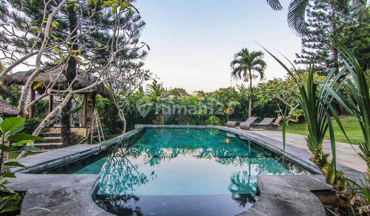 Freehold Tropical Villa Sitting On Big Land In Batu Bolong, Canggu 1