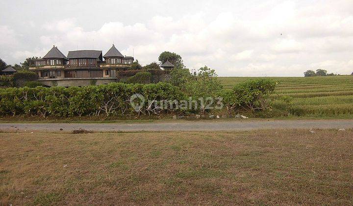 Land 5180 Sqm Beach Front In Tabanan 2