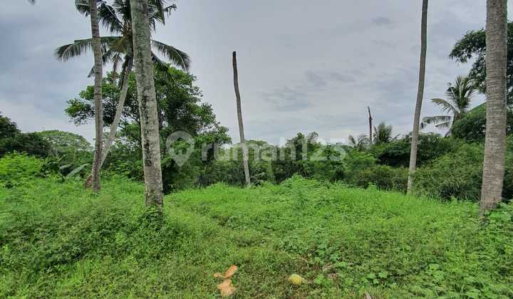 Freehold - Rare Opportunity Exclusive Land With Rice Field Views And Riverside In Green Lot, Cemagi, Bali