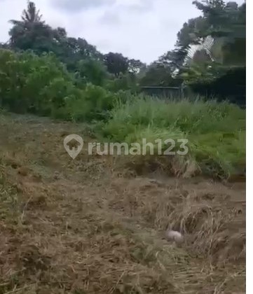 Freehold - Rare Land for Sale in Ubud - 2 Minutes from Odette Ubud, Bali!