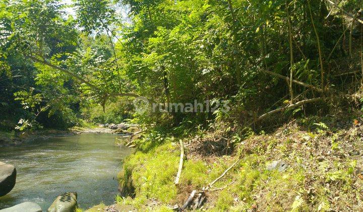 Freehold 1.500 Sqm Land With Stunning Views Of Valley And River In Ubud Terraced Contours, Perfect For Luxury Villas 2