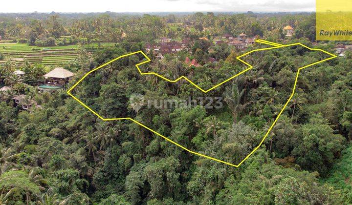 12,619 Sq M Of Freehold Land With Stunning River And Valley Views Located 7 Minutes From Ubud Palace 1