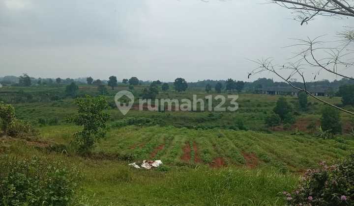 FOR SALE SEBIDANG. TANAH YANG. BERLOKASI. Di. DAERAH. MAJA. KAB. LEBAK