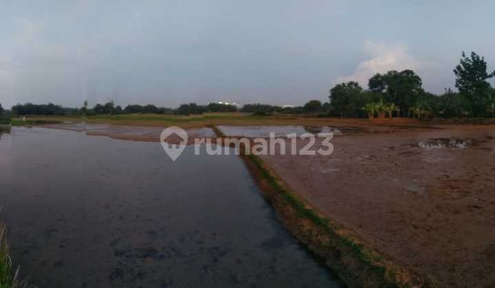 DIJUAL Tanah SAWAH PINGGIR JALAN
