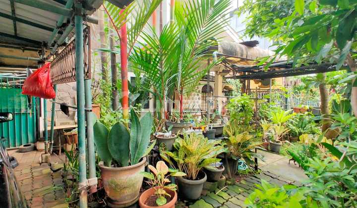 Dijual Cepat Rumah Tomang Jl. Tawakal Ujung Blok A