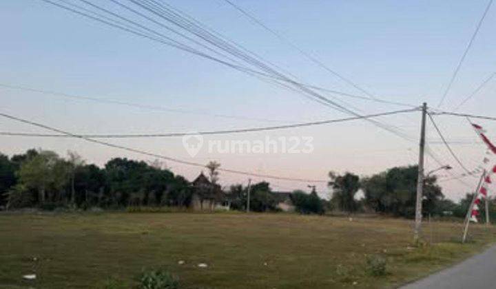 Dijual Sebidang Tanah Tuban Sugihwaras Jenu 2