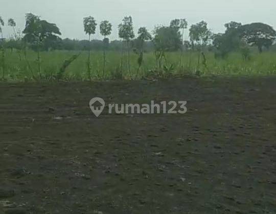 Jual Tanah Industri Ploso Jombang 1
