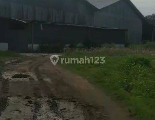 Jual Gudang Ploso Jombang 1