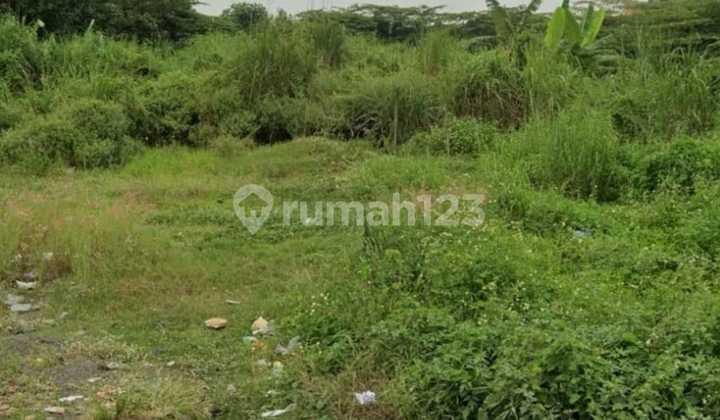 Land Plot Ngingas Krian Zero Main Road Land Plot Ngingas Krian Zero Main Road